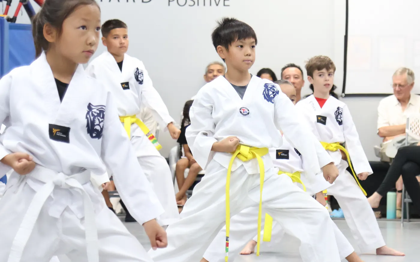 Students in a row at a belt ceremony